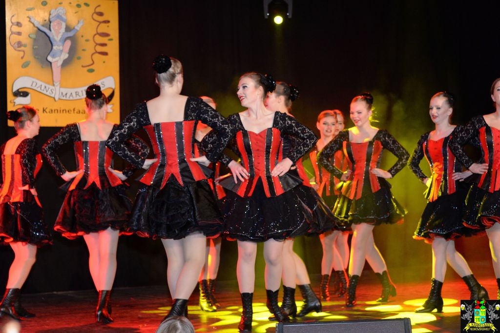 ../Images/Dansmarieke festival 2018 237.jpg